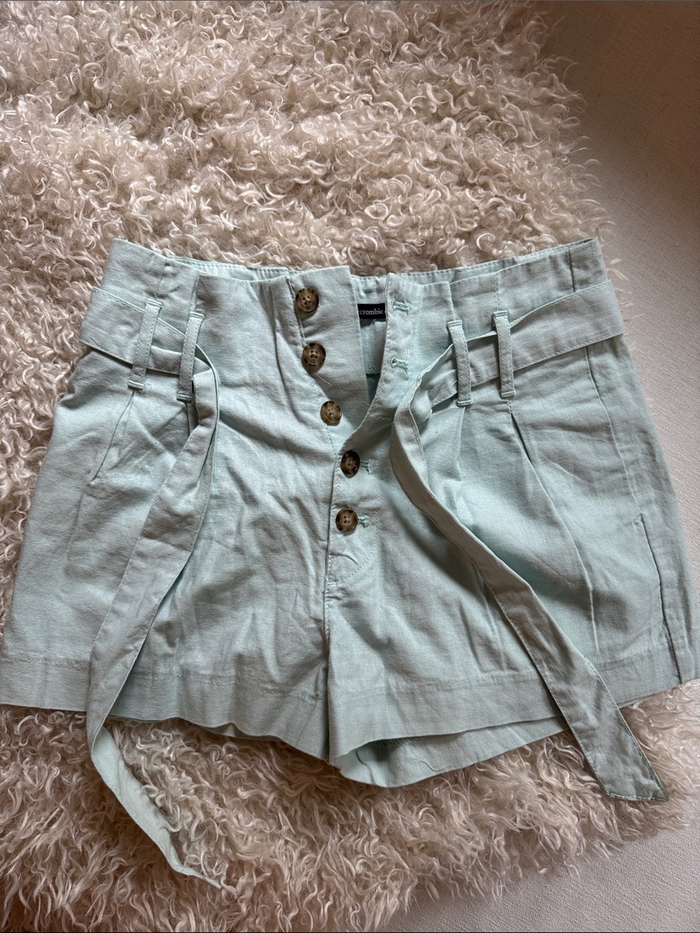 NWOT Abercrombie & Fitch Light Mint High-Waist Button Front Shorts size small